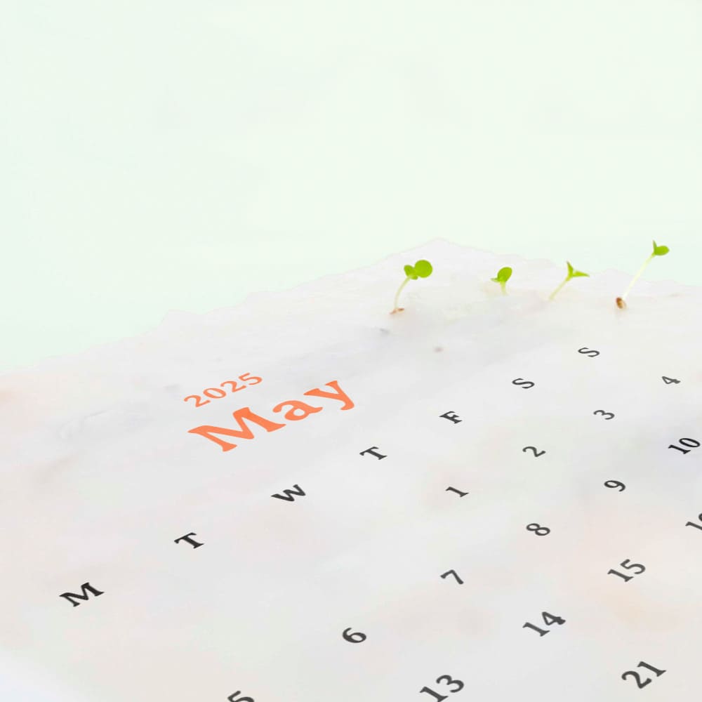 eco-neutral® Plantable Calendar with 12 Sheets Seed Paper