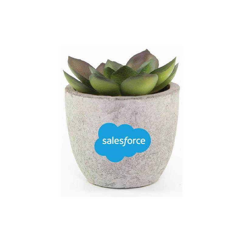 CAMAS - Artificial Succulent Plant in Pulp Pot